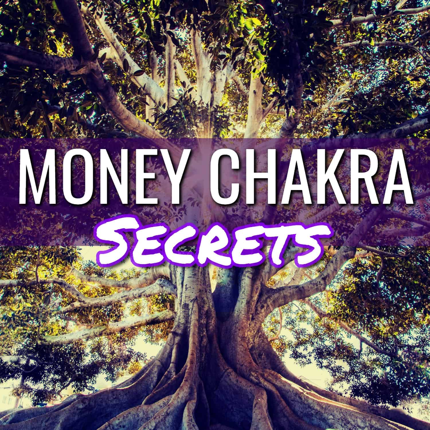 Money Chakra Secrets: Unleash Financial Abundance Within!